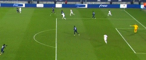 1636235445009060516.gif 703.gif